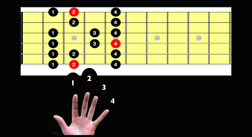 Start Learning Guitar Scales Here is What You Need to Know